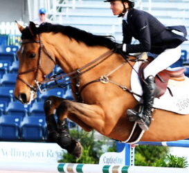 Consistency is a charm for titleist Laura Chapot at Winter Equestrian Festival