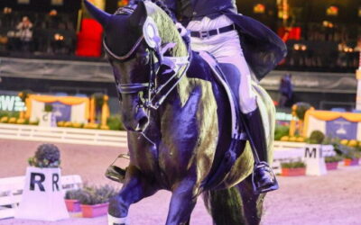Two more big-name dressage horses get new riders