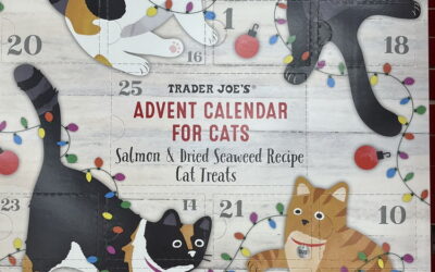 It’s beginning to look a lot like…