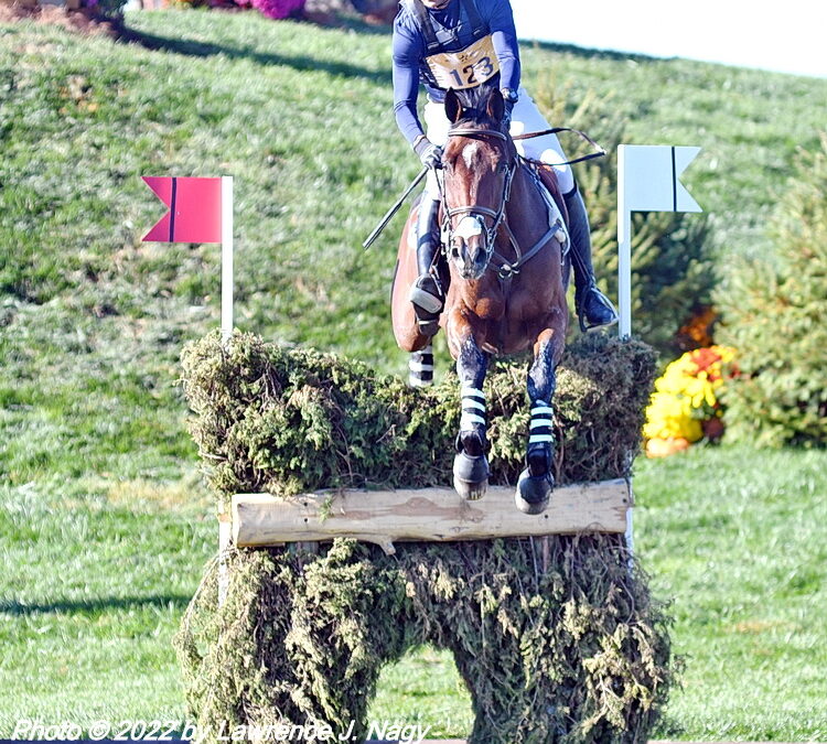 5-star event riders sanctioned by FEI (UPDATE)