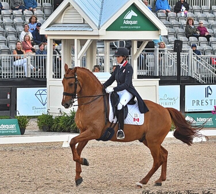 A window into the future of developing dressage horses