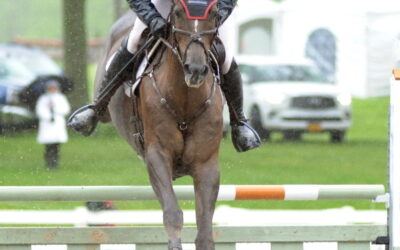 Rain can’t dampen enthusiasm at the Jersey Fresh International Three-Day Event