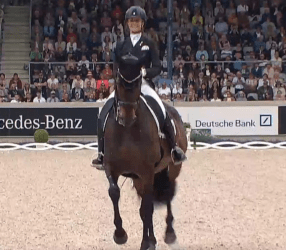 No surprise in the Aachen freestyle