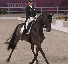 The dressage line-up for the World Cup finals sparkles with stars