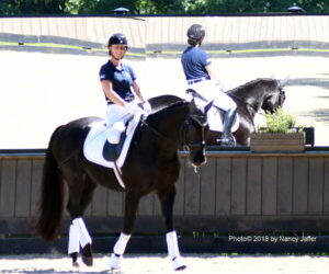It’s all coming together for para-equestrian Katie Jackson