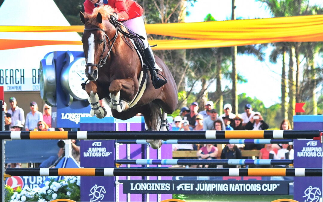 A new career for show jumper Darry Lou