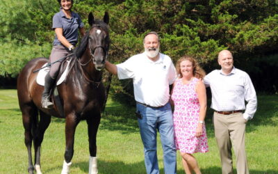 There’s a good life after the track for a handsome thoroughbred